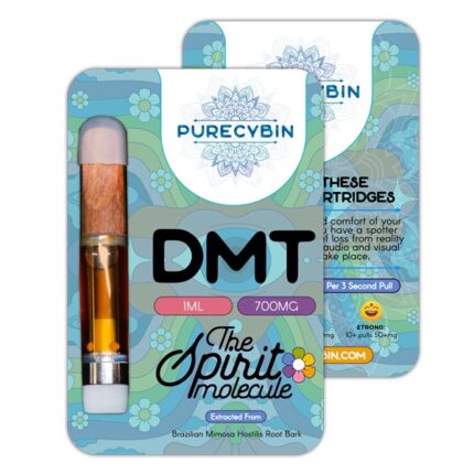 Exploring the World of DMT Cartridges